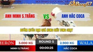 TRẬN 5 TONHON 19/12/2025