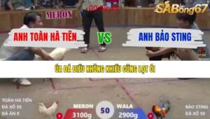 TRẬN 50 XÀ XÍA 19/12/2025