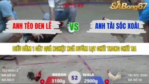 TRẬN 52 XÀ XÍA 19/12/2025