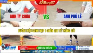 TRẬN 8 TONHON 24/12/2025