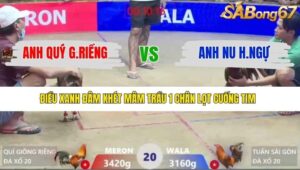 TRẬN 20 XÀ XÍA 13/1/2026