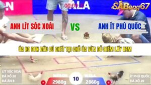 TRẬN 10 XÀ XÍA 6/1/2026