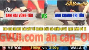 TRẬN 11 CPC5 14/1/2026