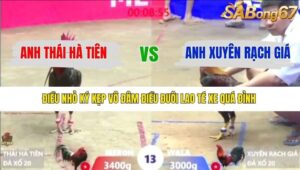 TRẬN 13 XÀ XÍA 6/1/2026