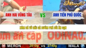 TRẬN 15 CPC5 14/1/2026