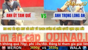 TRẬN 15 CPC5 6/1/2026