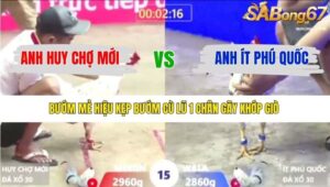 TRẬN 15 XÀ XÍA 6/1/2026