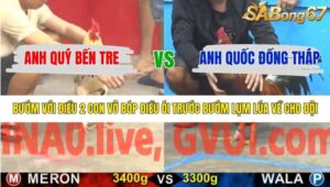 TRẬN 16 CPC5 14/1/2026