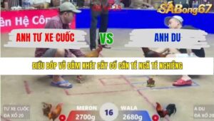 TRẬN 16 XÀ XÍA 22/1/2026