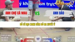 TRẬN 17 XÀ XÍA 14/1/2026