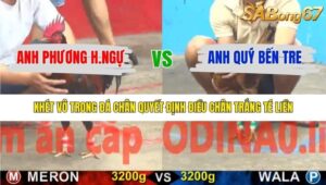 TRẬN 18 CPC5 14/1/2026