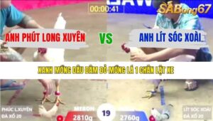 TRẬN 19 XÀ XÍA 6/1/2026