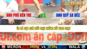 TRẬN 2 CPC5 14/1/2026