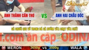 TRẬN 20 CPC5 14/1/2026