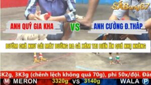 TRẬN 20 CPC5 22/1/2026