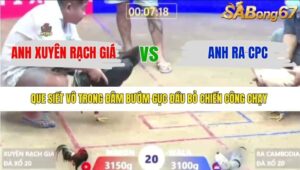 TRẬN 20 XÀ XÍA 6/1/2026