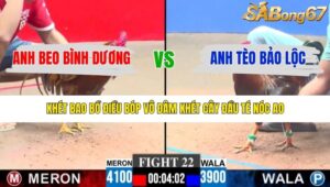 TRẬN 22 CPC3 15/1/2026