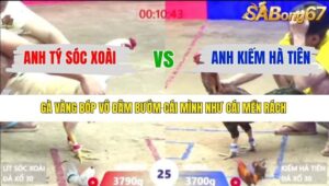 TRẬN 25 XÀ XÍA 6/1/2026