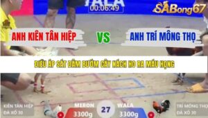 TRẬN 27 XÀ XÍA 22/1/2026