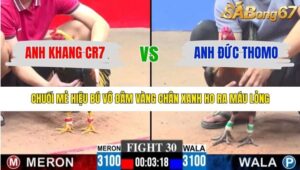 TRẬN 30 CPC3 15/1/2026