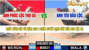 TRẬN 35 CPC3 15/1/2026