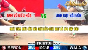 TRẬN 36 CPC3 15/1/2026