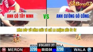 TRẬN 37 CPC3 15/1/2026