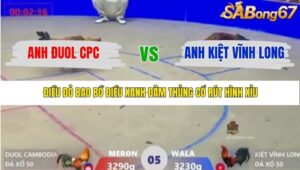 TRẬN 5 XÀ XÍA 22/1/2026