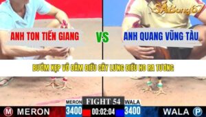 TRẬN 54 CPC3 15/1/2026