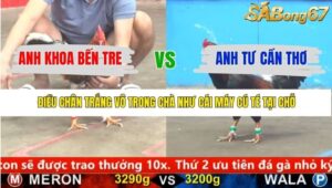 TRẬN 6 CPC5 22/1/2026