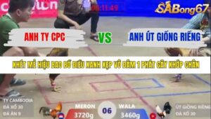 TRẬN 6 XÀ XÍA 22/1/2026