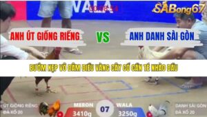 TRẬN 7 XÀ XÍA 14/1/2026