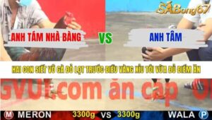 TRẬN 8 CPC5 14/1/2026