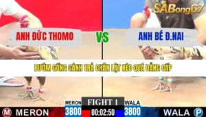 TRẬN 1 CPC3 18/1/2026