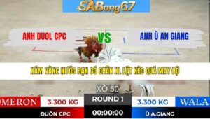 TRẬN 1 TONHON 28/1/2026