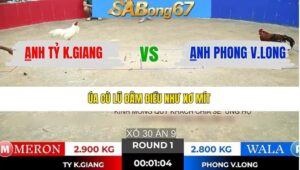 TRẬN 1 TONHON 7/1/2026