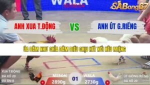 TRẬN 1 XÀ XÍA 12/1/2026