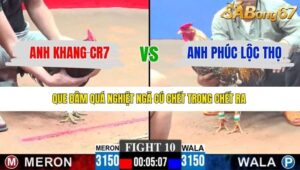 TRẬN 10 CPC3 11/1/2026