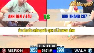 TRẬN 10 CPC3 4/1/2026