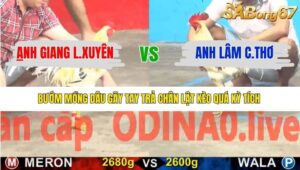 TRẬN 10 CPC4 12/1/2026