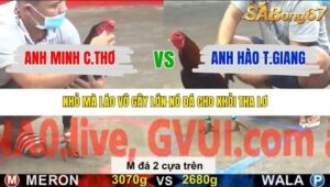 TRẬN 10 CPC5 24/1/2026