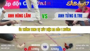 TRẬN 10 XÀ XÍA 10/1/2026