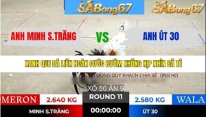 TRẬN 11 TONHON 21/1/2026