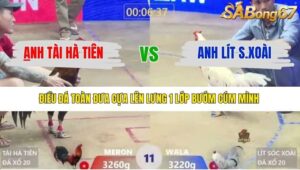 TRẬN 11 XÀ XÍA 12/1/2026