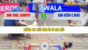 TRẬN 11 XÀ XÍA 25/1/2026