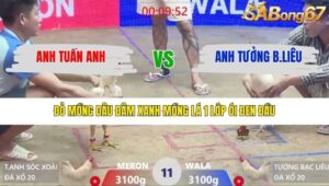 TRẬN 11 XÀ XÍA 30/1/2026