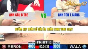 TRẬN 12 CPC3 25/1/2026