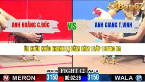 TRẬN 12 CPC3 29/1/2026