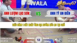 TRẬN 12 XÀ XÍA 19/1/2026