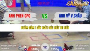 TRẬN 12 XÀ XÍA 20/1/2026